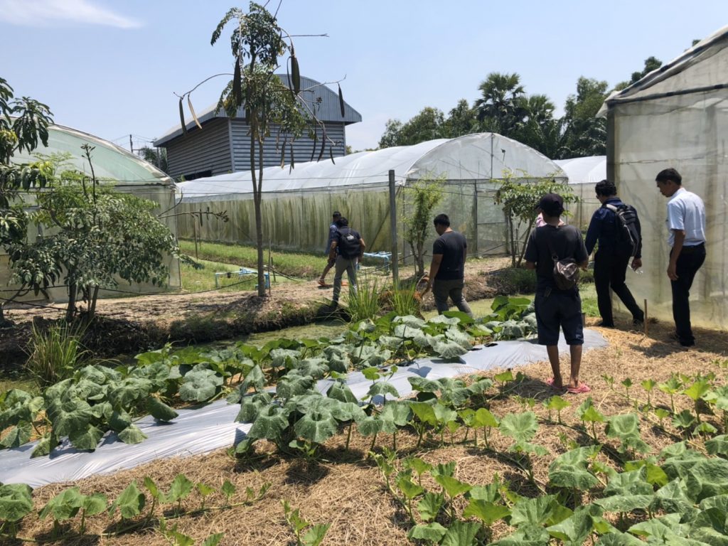 Seed & Irrigation farm visit | TNA Group