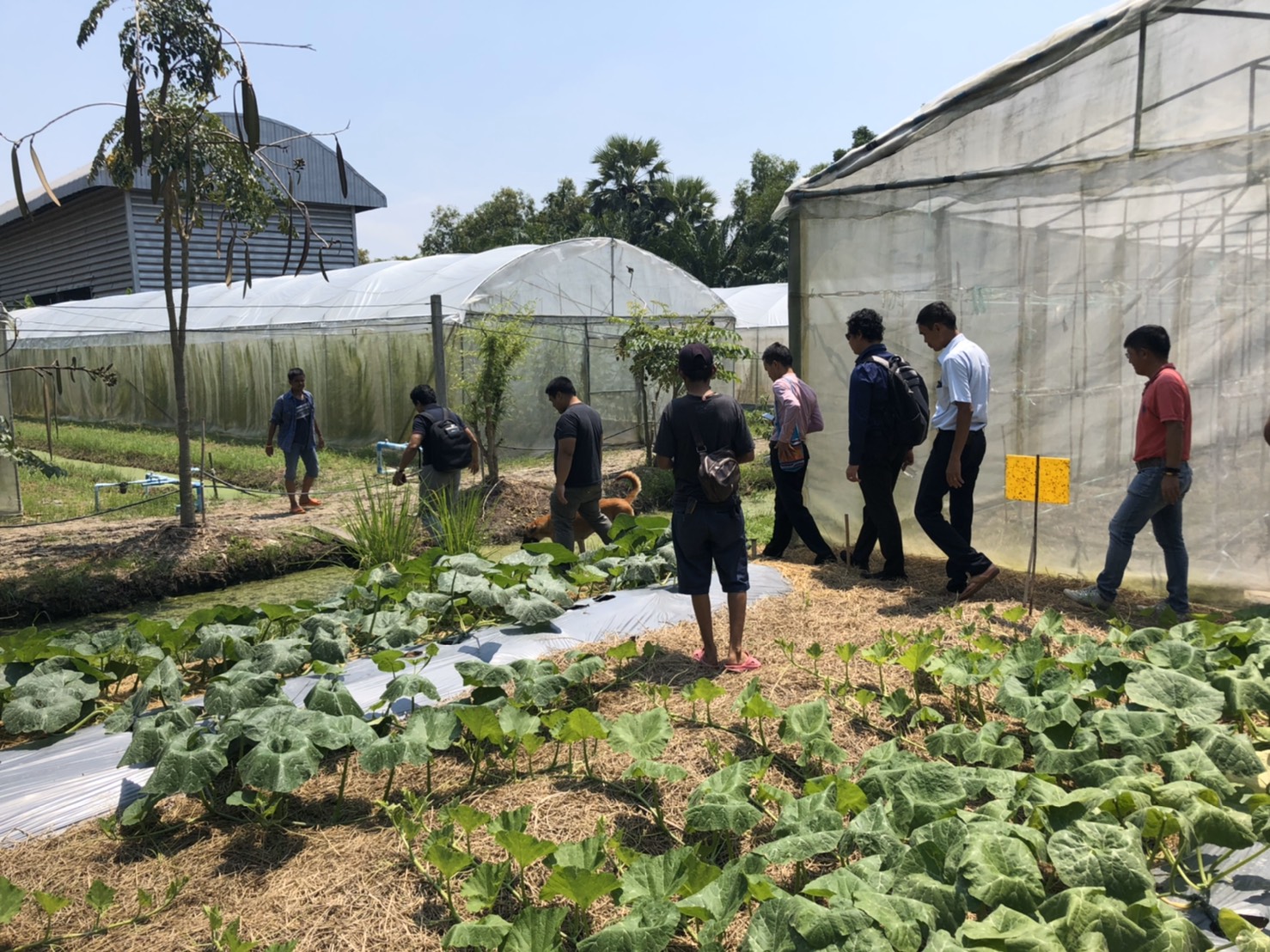 Seed & Irrigation Farm Visit 